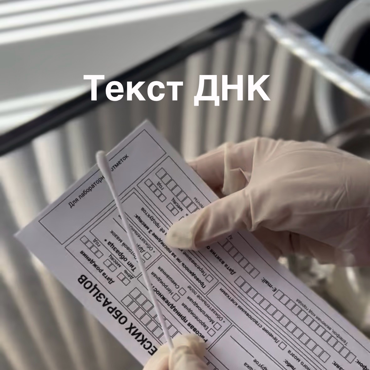 Установление отцовства 