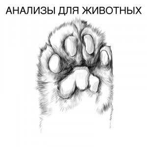 Ветеринарные анализы