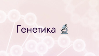 Генетика